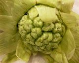 TOP10入花開く ふきのとうの天ぷら作り方5写真