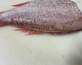 のどぐろ(アカムツ)の捌き方 お刺身まで作り方7写真