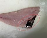 のどぐろ(アカムツ)の捌き方 お刺身まで作り方11写真