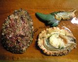 お酒のお供に！あわびの蒸し焼き作り方5写真