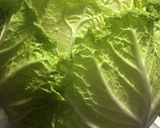 葉物(キャベツ、レタス、白菜など)の保存作り方12写真