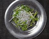 ヨウサマの減塩水菜としらすのサラダ作り方1写真