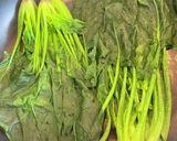 麺つゆ洗いホウレン草のお浸し。作り方3写真