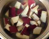 テバトロと根野菜の煮物作り方4写真