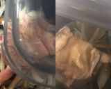 グルラボで鶏モモと野菜の照り焼きチキン♪作り方5写真