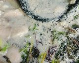 リカちゃん♡鯖(白子)鍋.·˖*作り方6写真
