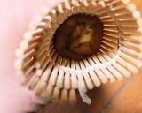 お弁当おかずに♪ミニチーズ伊達巻作り方3写真