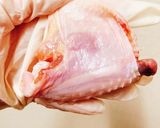 食べやすい!手羽の下処理方法作り方8写真