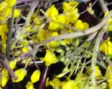 リカちゃん♡紅菜苔炒め柚子しゃぶ甘酢がけ作り方4写真