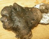 きのこ（くろかわ、こもそう）の料理作り方1写真