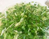 豆腐ハンバーグ 香り野菜添え作り方2写真