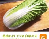 簡単ヘルシー☆鶏胸肉&白菜ペペロンチーノ作り方9写真