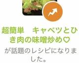超簡単　キャベツとひき肉の味噌炒め♡作り方12写真