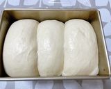 準強力粉の食パン作り方12写真