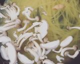 ごはんですよ！で☆ツナとキノコのパスタ作り方2写真