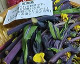 リカちゃん♡紅菜苔の炊いたん(白醤油)作り方1写真