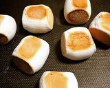 お家で簡単♪楽しい♪焼きマシュマロ作り方4写真