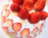 ふわんふわんとろける豪華な苺ドームケーキ作り方12写真