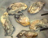 干し牡蠣と牡蠣パウダーの作り方作り方6写真