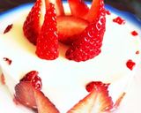 プレーンヨーグルトでレアチーズケーキ作り方9写真