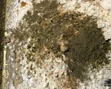 片付け簡単!油少な目 フライドチキン風作り方2写真