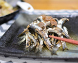 骨まで丸ごと食べられる♬いわしの梅煮★作り方5写真