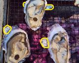 蒸し汁も味わう!蒸し牡蠣(殻付き)作り方20写真
