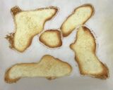 トースターde生クリーム♪ラングドシャ作り方4写真
