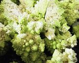 アンチョビのロマネスコと髭付き海老です。作り方6写真