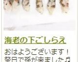 海老の下ごしらえ作り方13写真