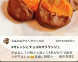 オレンジとチョコの相性抜群オラランジェ♪作り方27写真