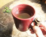 サザンカの葉茶作り方6写真
