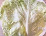 野菜シートで簡単ロール春キャベツ作り方2写真