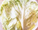 野菜シート&ウィンナーでロール春キャベツ作り方2写真
