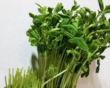 豆苗と塩昆布☆苦手克服！作り方1写真