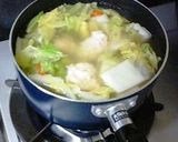 ヘルシー☆白菜と豆腐鶏団子のスープ鍋作り方6写真