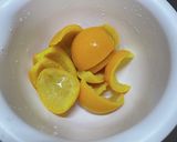 八朔のピール・オランジェット作り方7写真