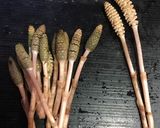 つくしの干菓子　(つくしのグラッセ)作り方1写真