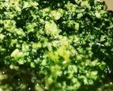 離乳食初期*タンパク質①*豆腐*作り方5写真