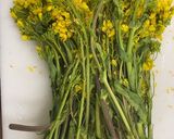 菜の花のチャンプルーとお好み焼き作り方2写真