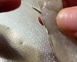 エビの下処理(天ぷら、フライ)作り方7写真