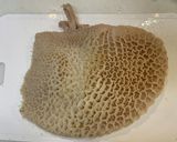 お店の味トリッパ　ハチノスのトマト煮込み作り方1写真