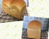 甘麹から作る塩麹作り方23写真