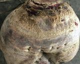 ビーツの下ごしらえ作り方1写真