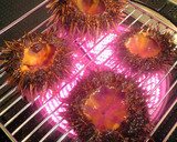 ほっくり！とろける！活ウニの丸焼き作り方6写真
