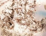 チョコ消費アイスボックスクッキー作り方8写真