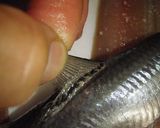 開いてある青魚を購入したときの注意点♪作り方1写真