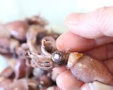 ホタルイカのイタリアン風炊き込みご飯作り方1写真