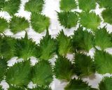 大葉の白だし漬け作り方1写真