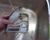 最速のいわし煮作り方3写真